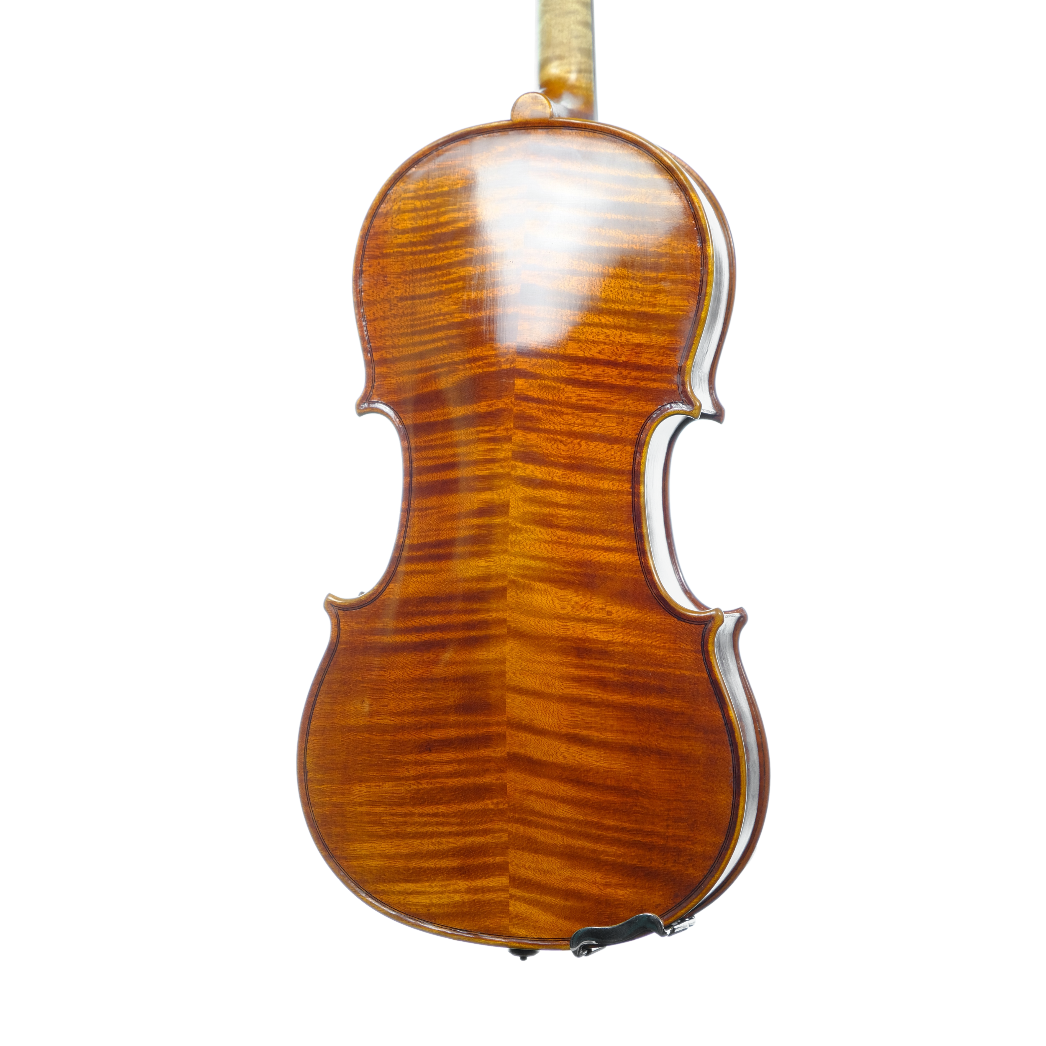 Violin - Linea Macchi, Stradivari 2024