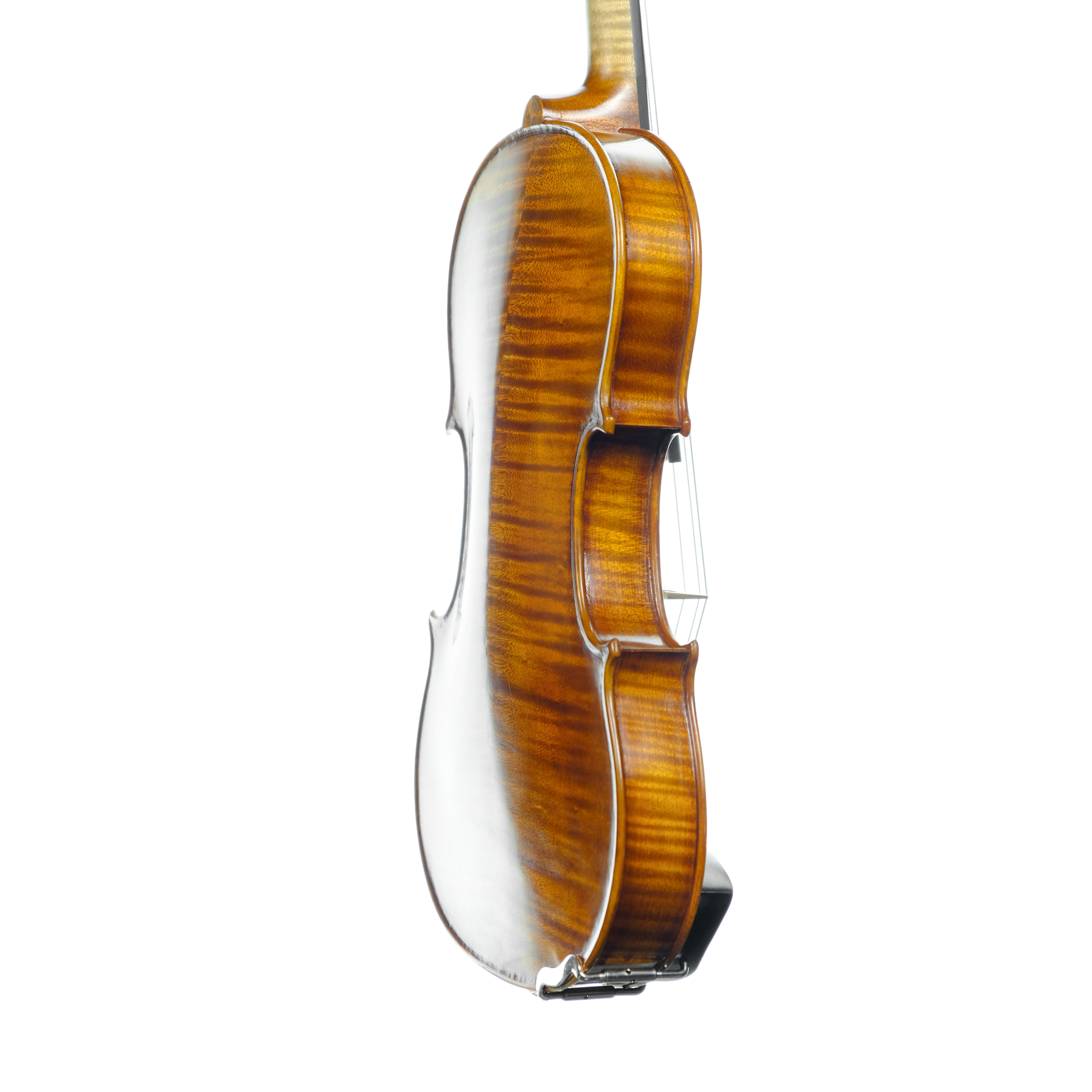 Violin - Linea Macchi, Stradivari 2024