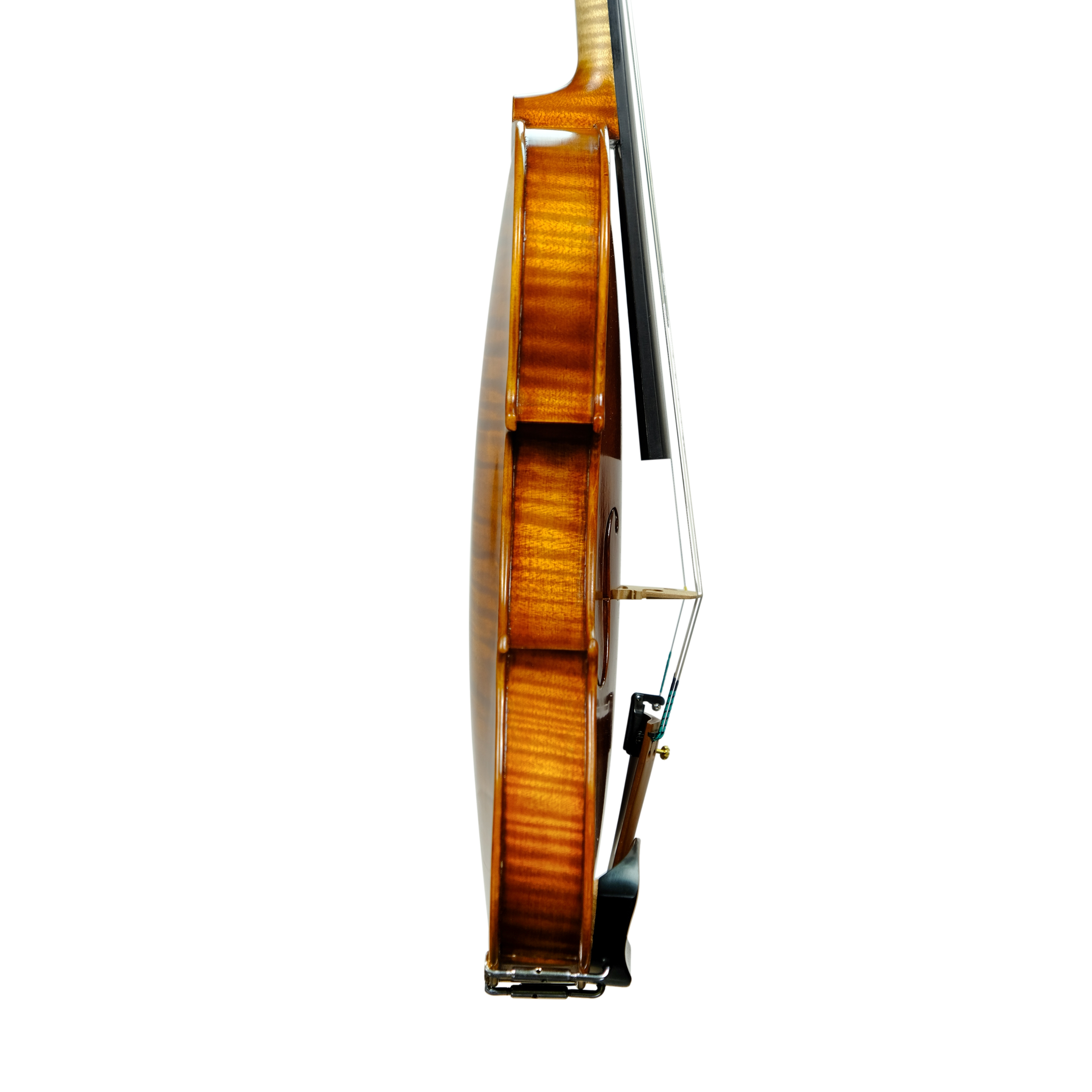 Violin - Linea Macchi, Stradivari 2024