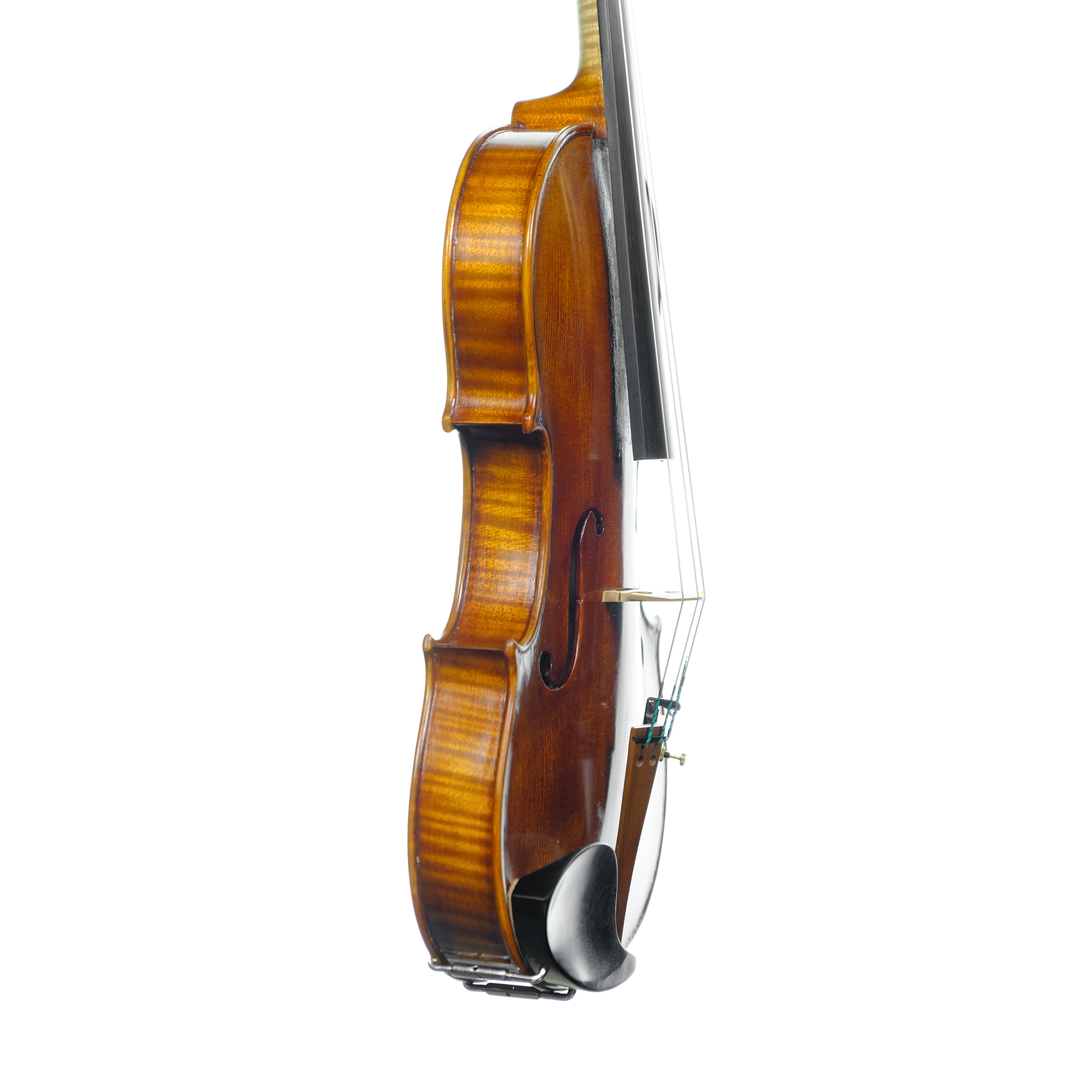 Violin - Linea Macchi, Stradivari 2024