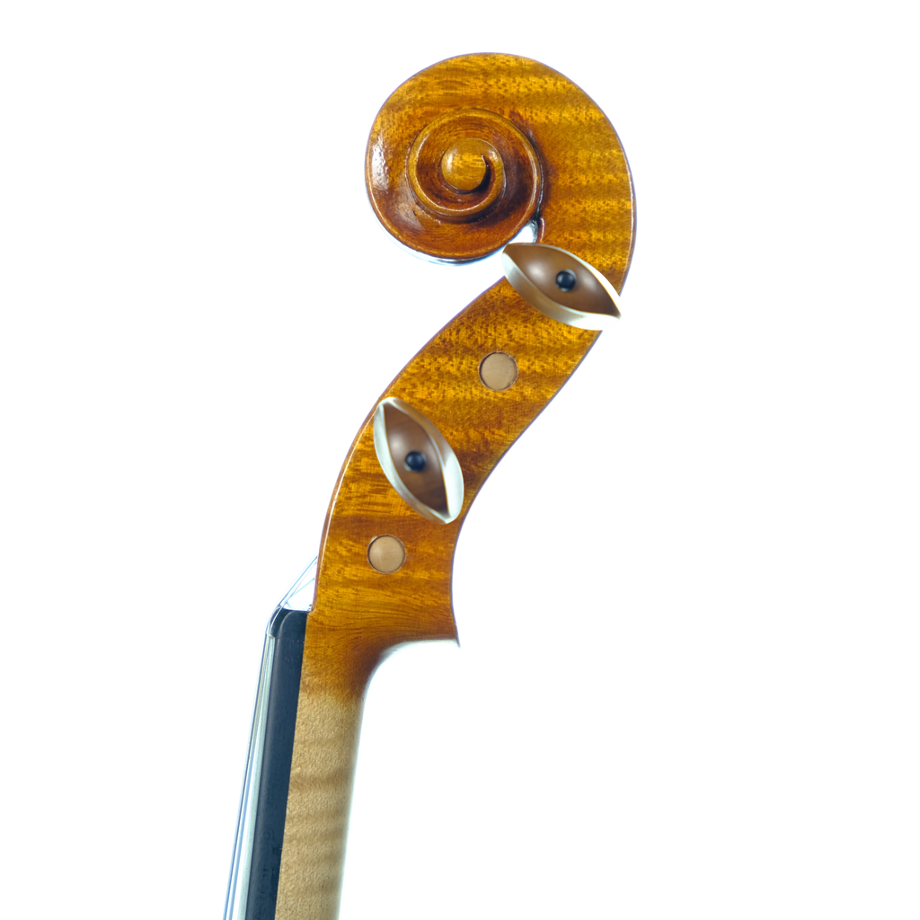 Violin - Linea Macchi, Stradivari 2024