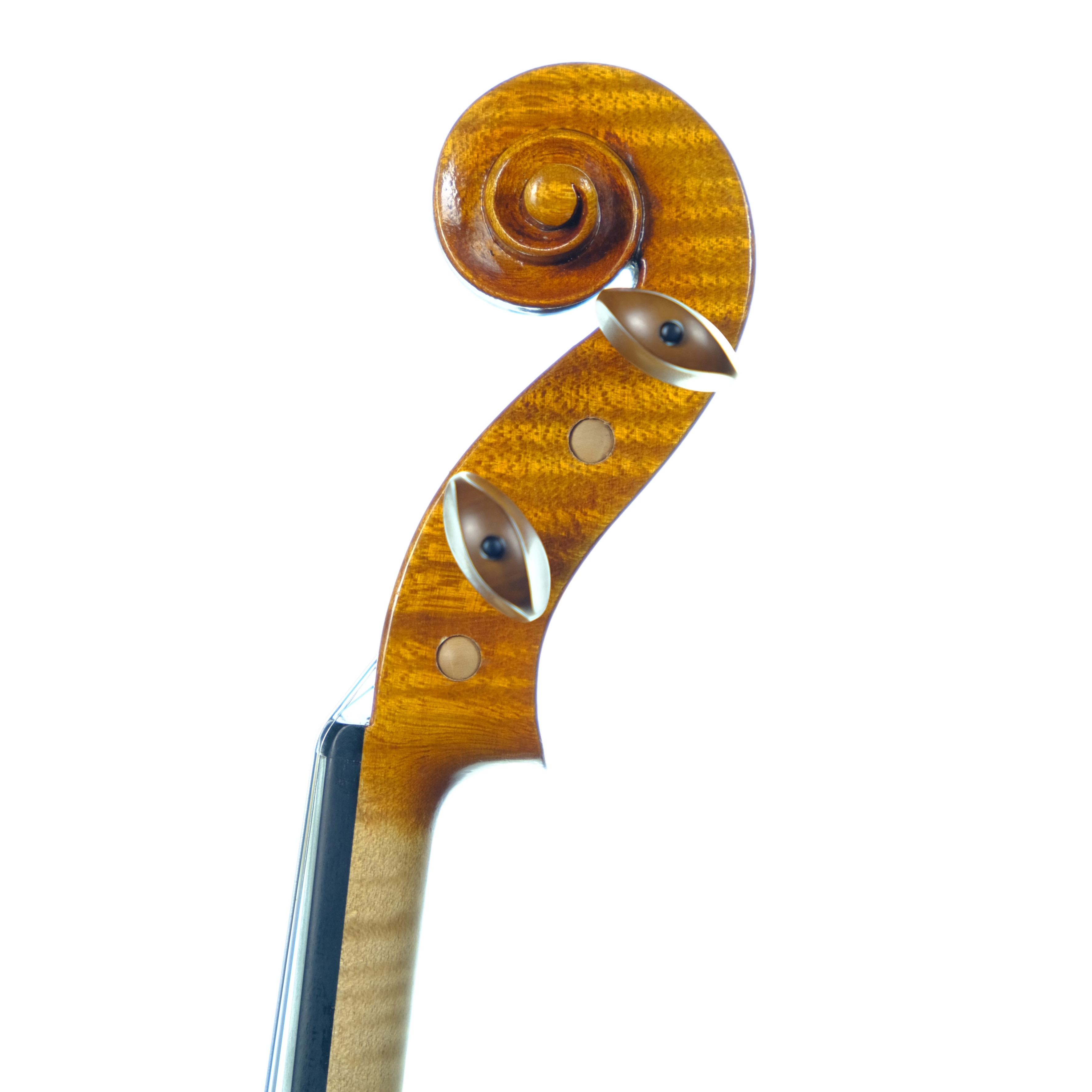 Violin - Linea Macchi, Stradivari 2024