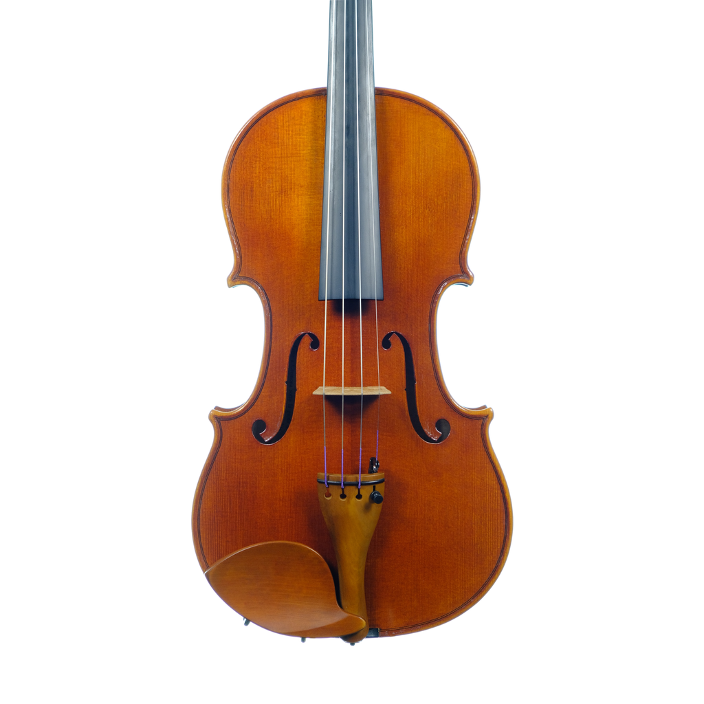 Violin - Linea Macchi, Stradivari 2024