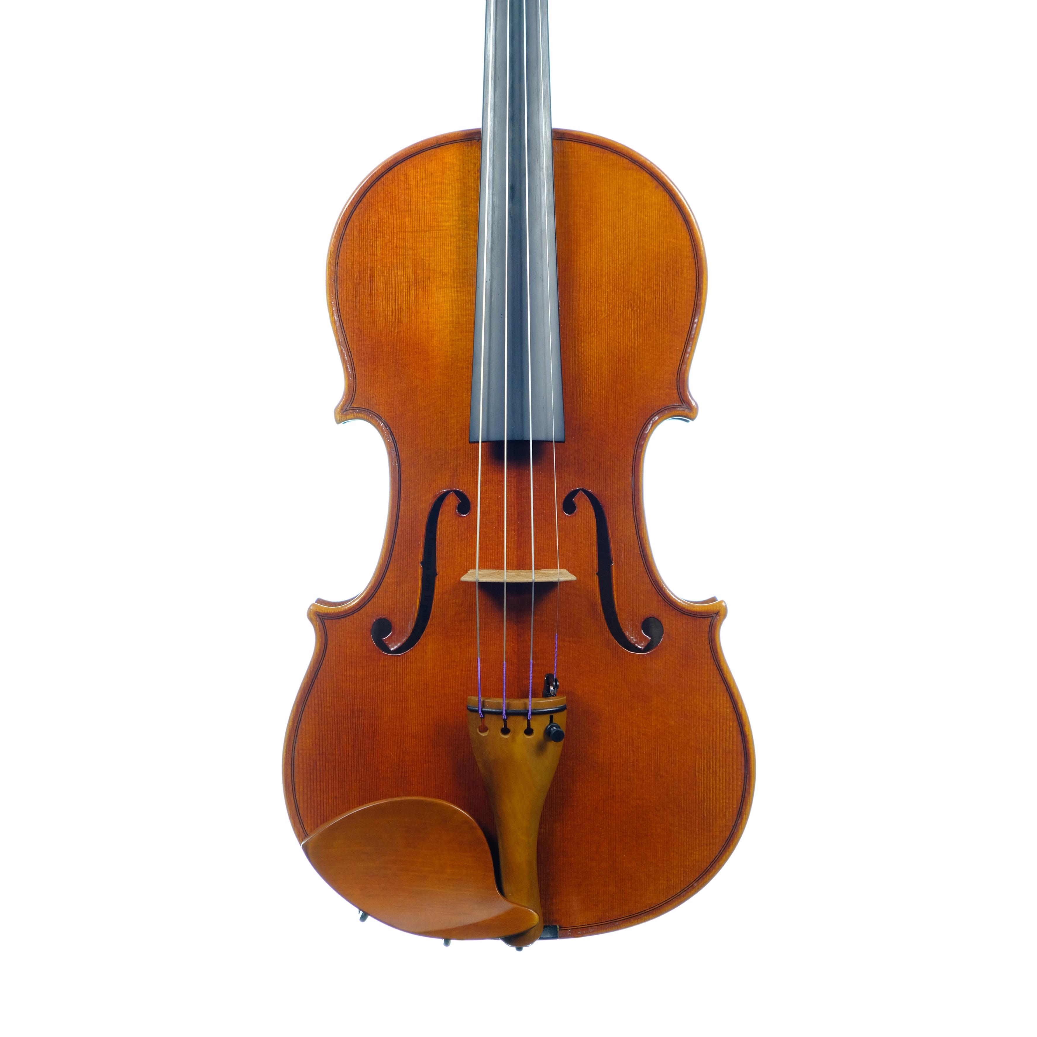 Violin - Linea Macchi, Stradivari 2024