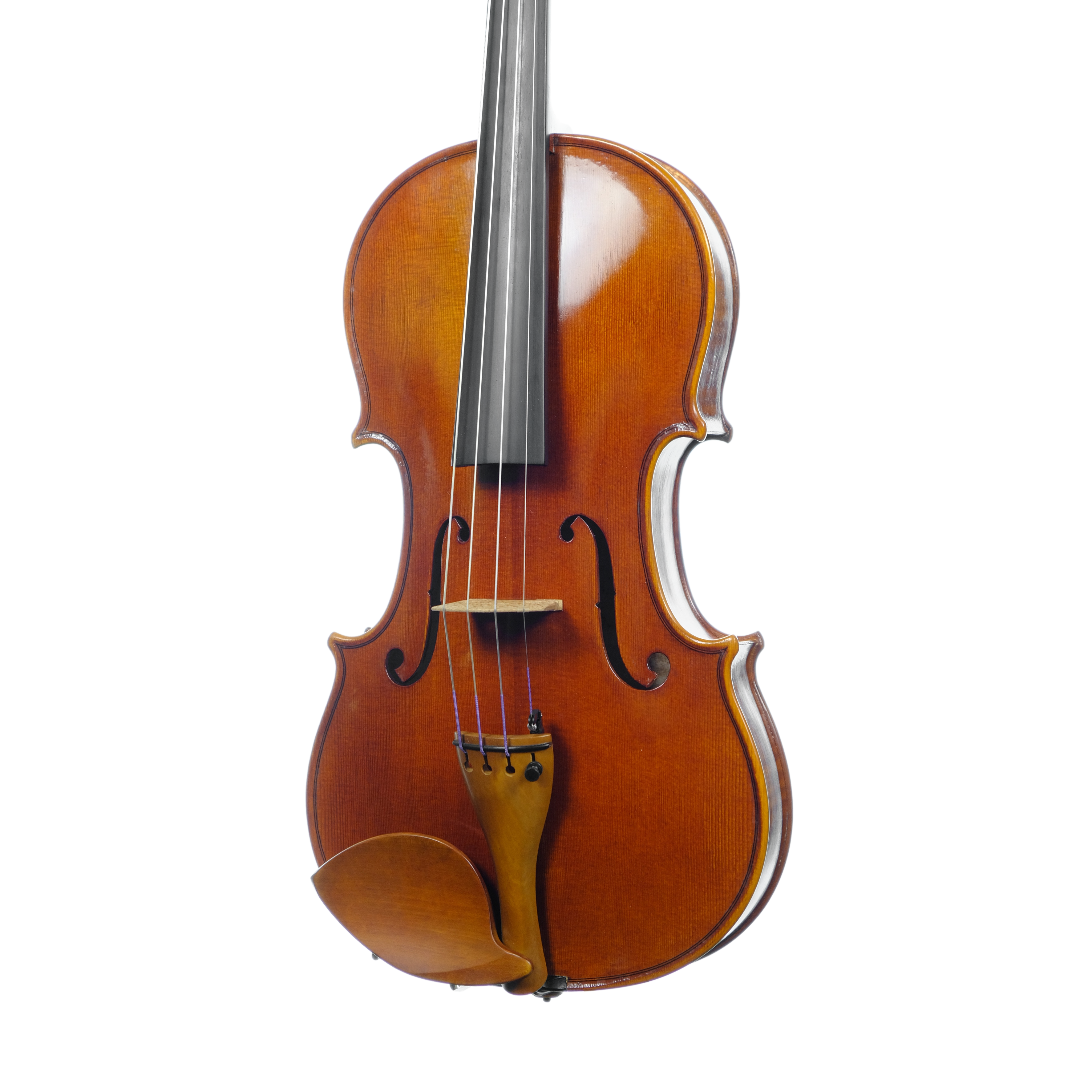 Violin - Linea Macchi, Stradivari 2024