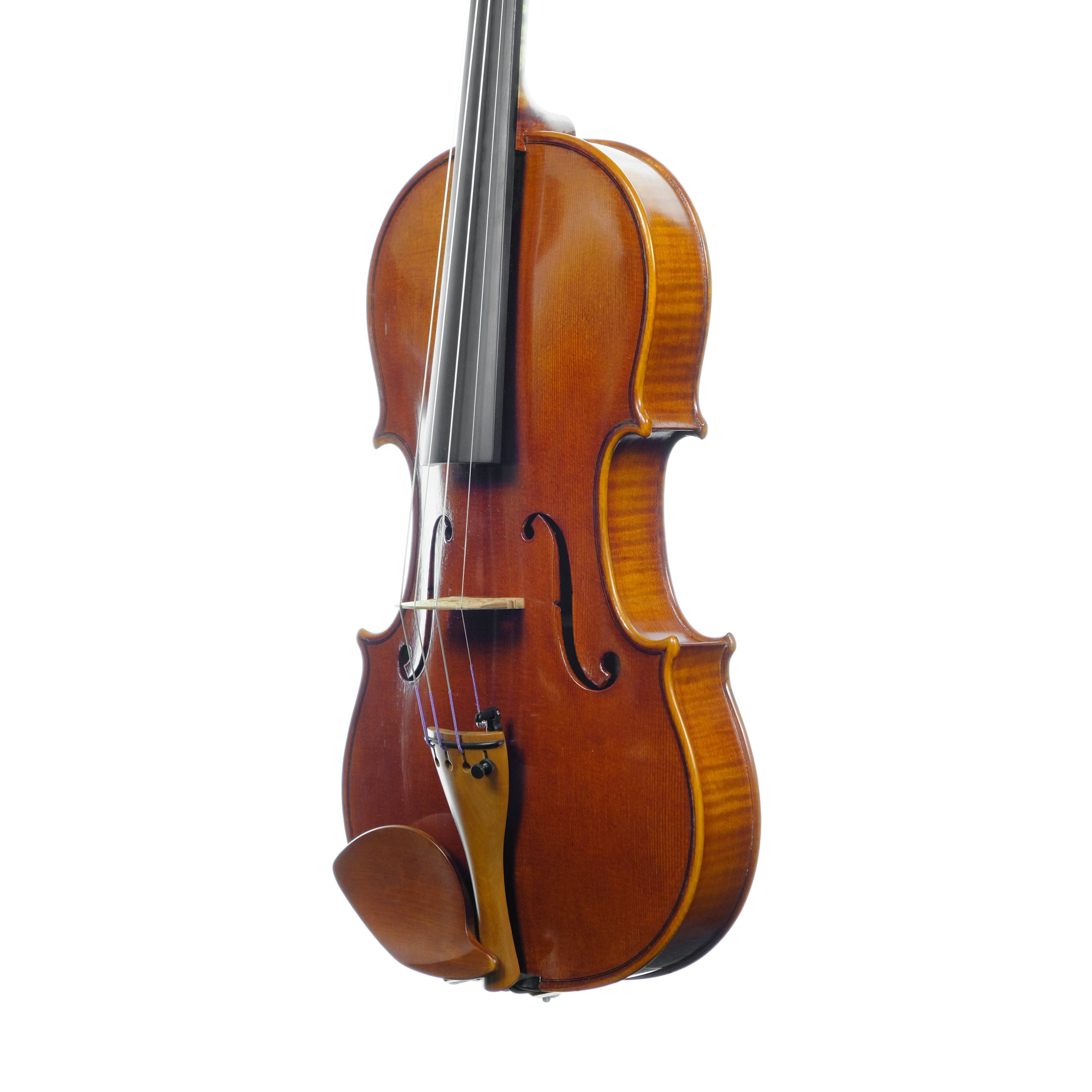 Violin - Linea Macchi, Stradivari 2024