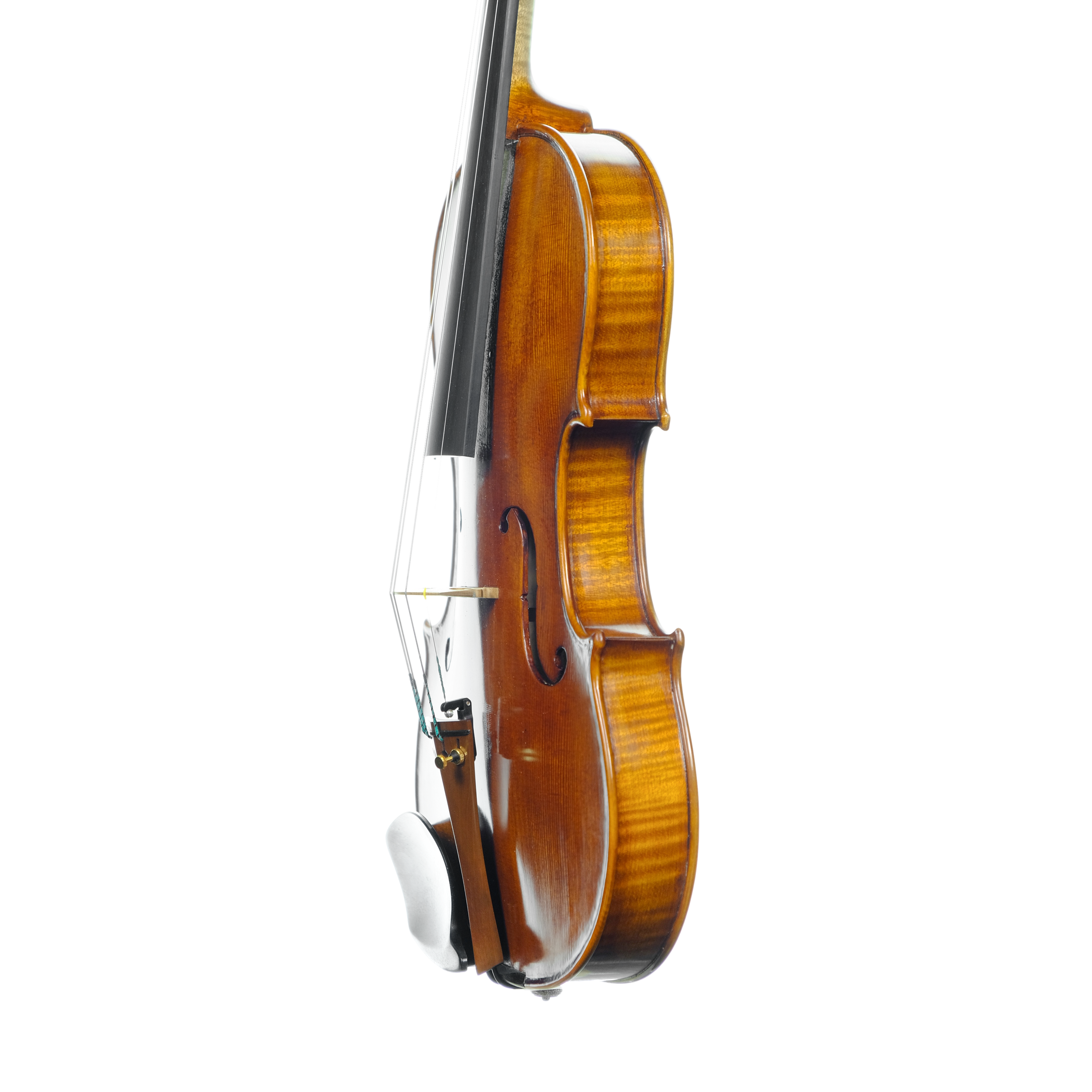 Violin - Linea Macchi, Stradivari 2024