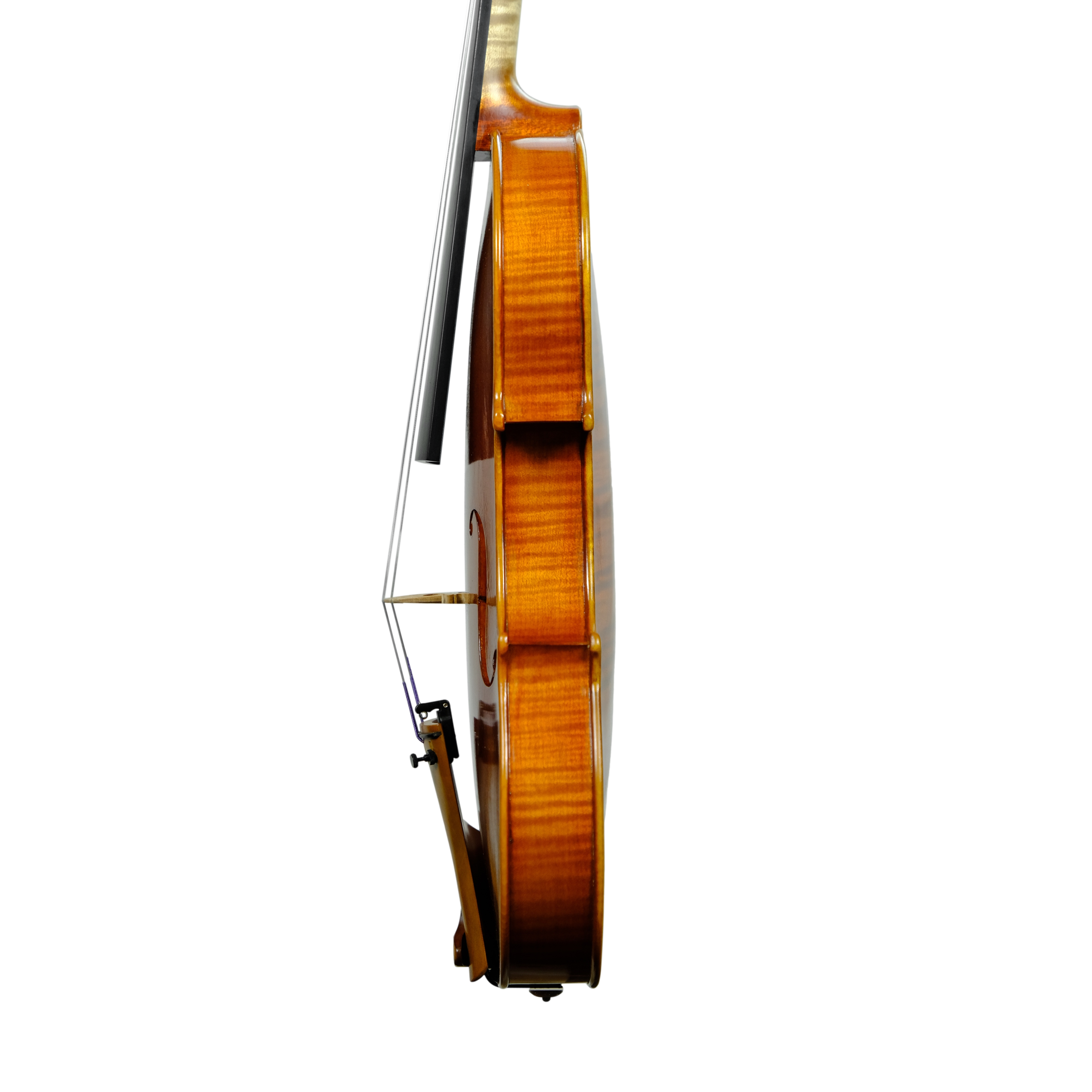 Violin - Linea Macchi, Stradivari 2024