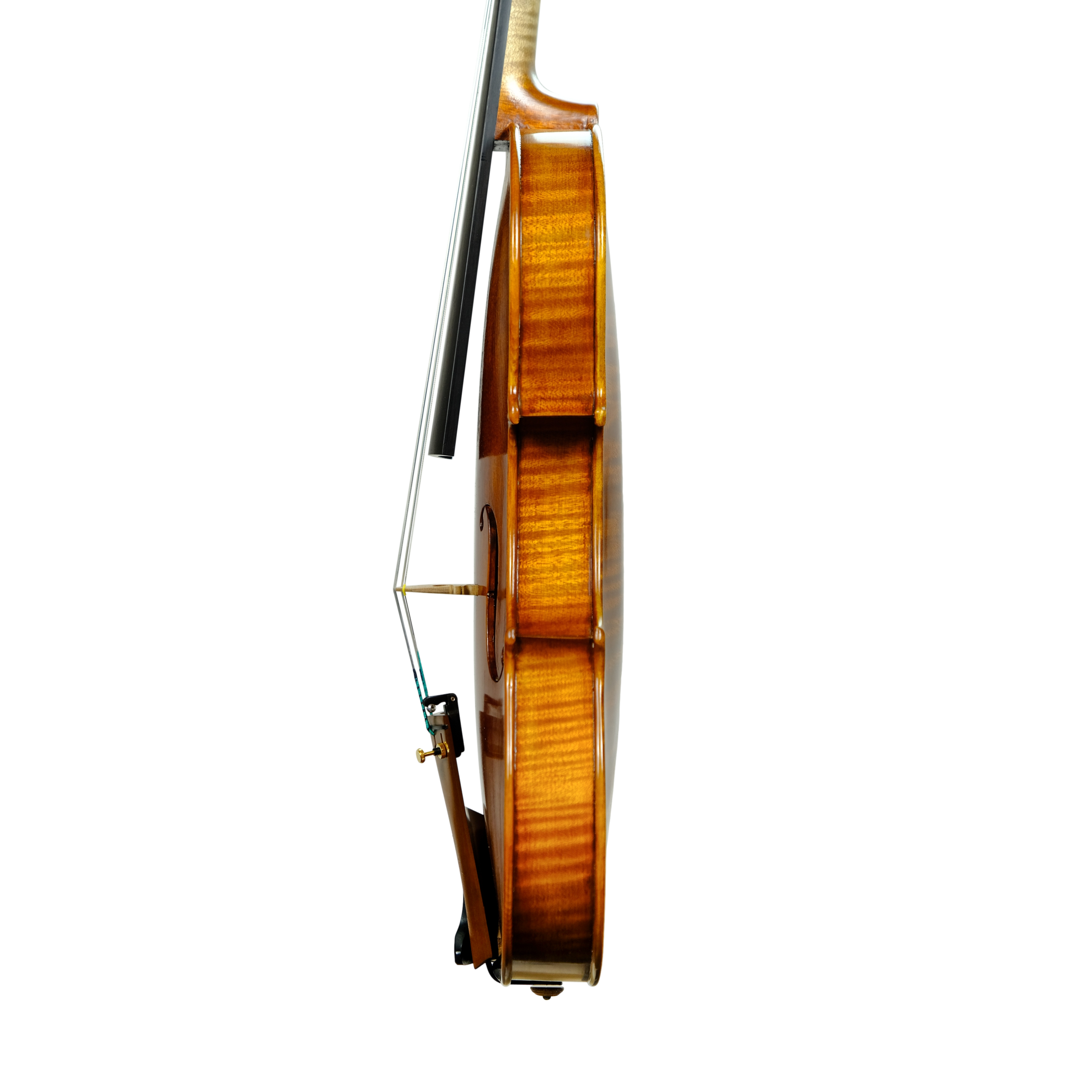 Violin - Linea Macchi, Stradivari 2024