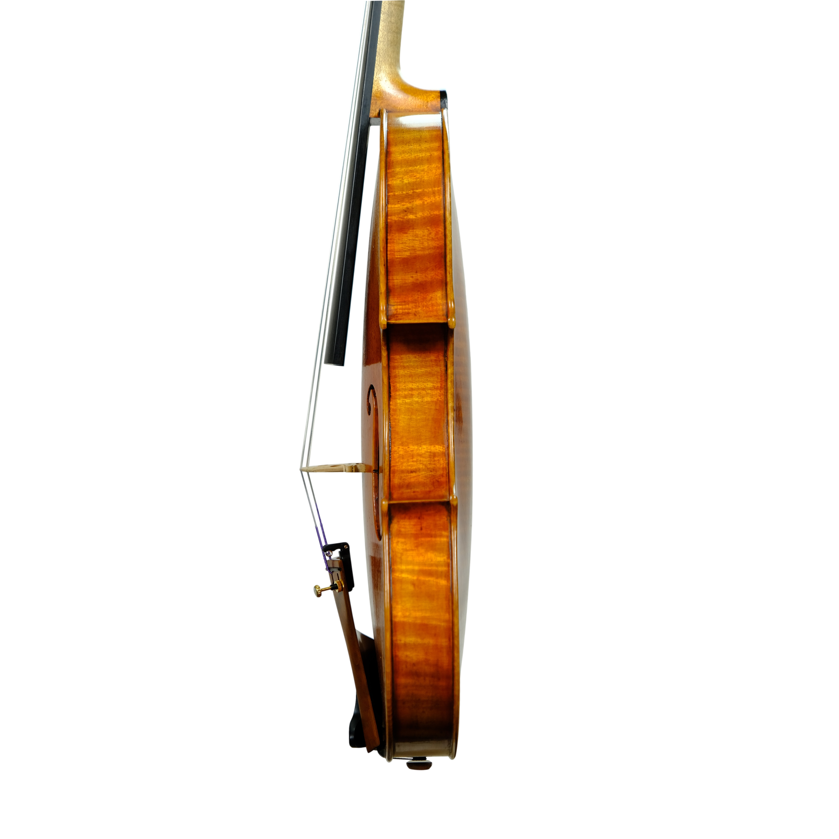 Violin - Mina Mazzolari, Guarneri del Gesú "Ole Bull",  Cremona 2024