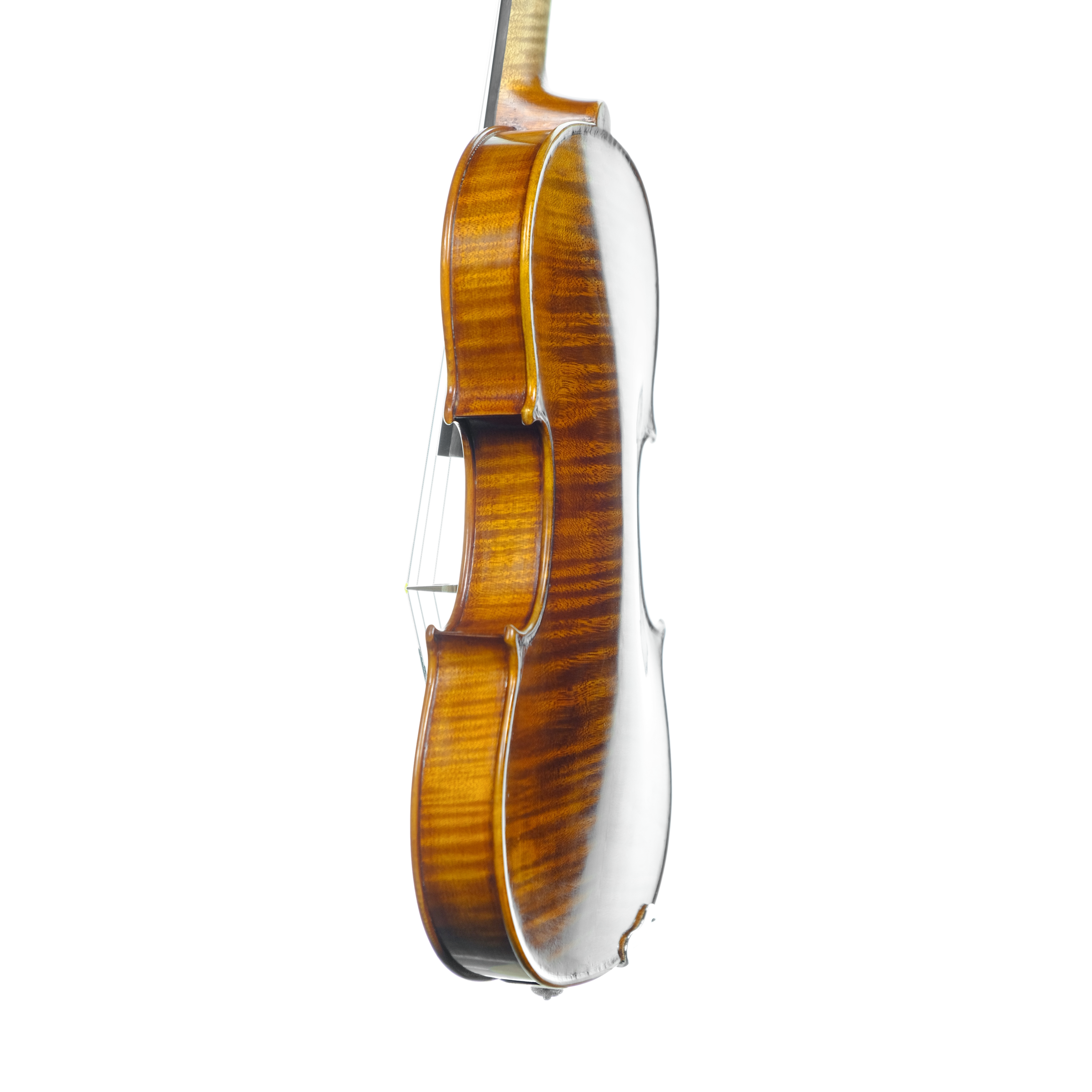 Violin - Linea Macchi, Stradivari 2024