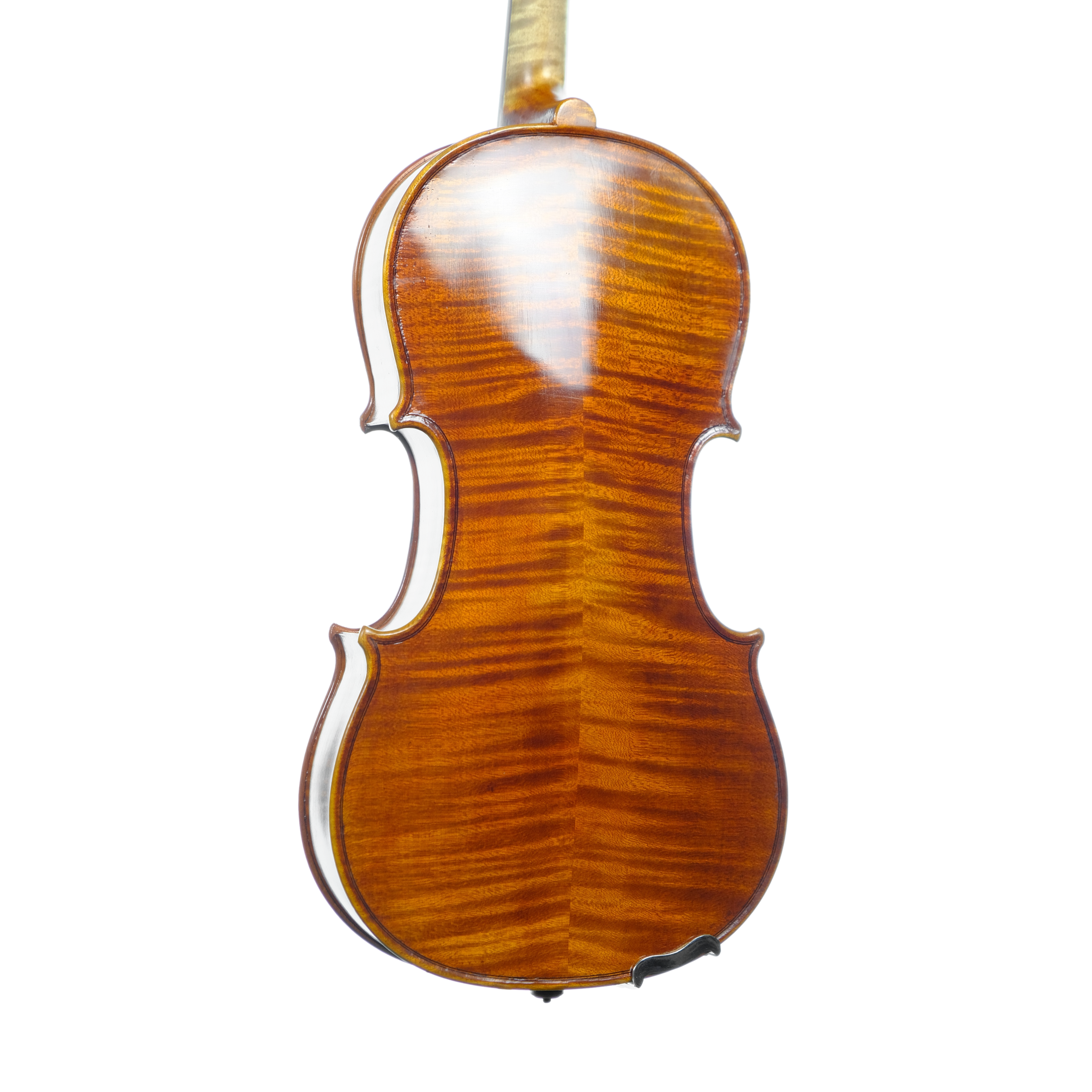 Violin - Linea Macchi, Stradivari 2024