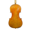 Violin - Edgar Russ, Guarneri "Ole Bull", Cremona 2024