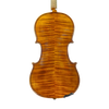 Violin - Linea Macchi, Stradivari 2024