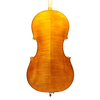 Cello - Scala Perfetta, Stradivari, Cremona 2024 2