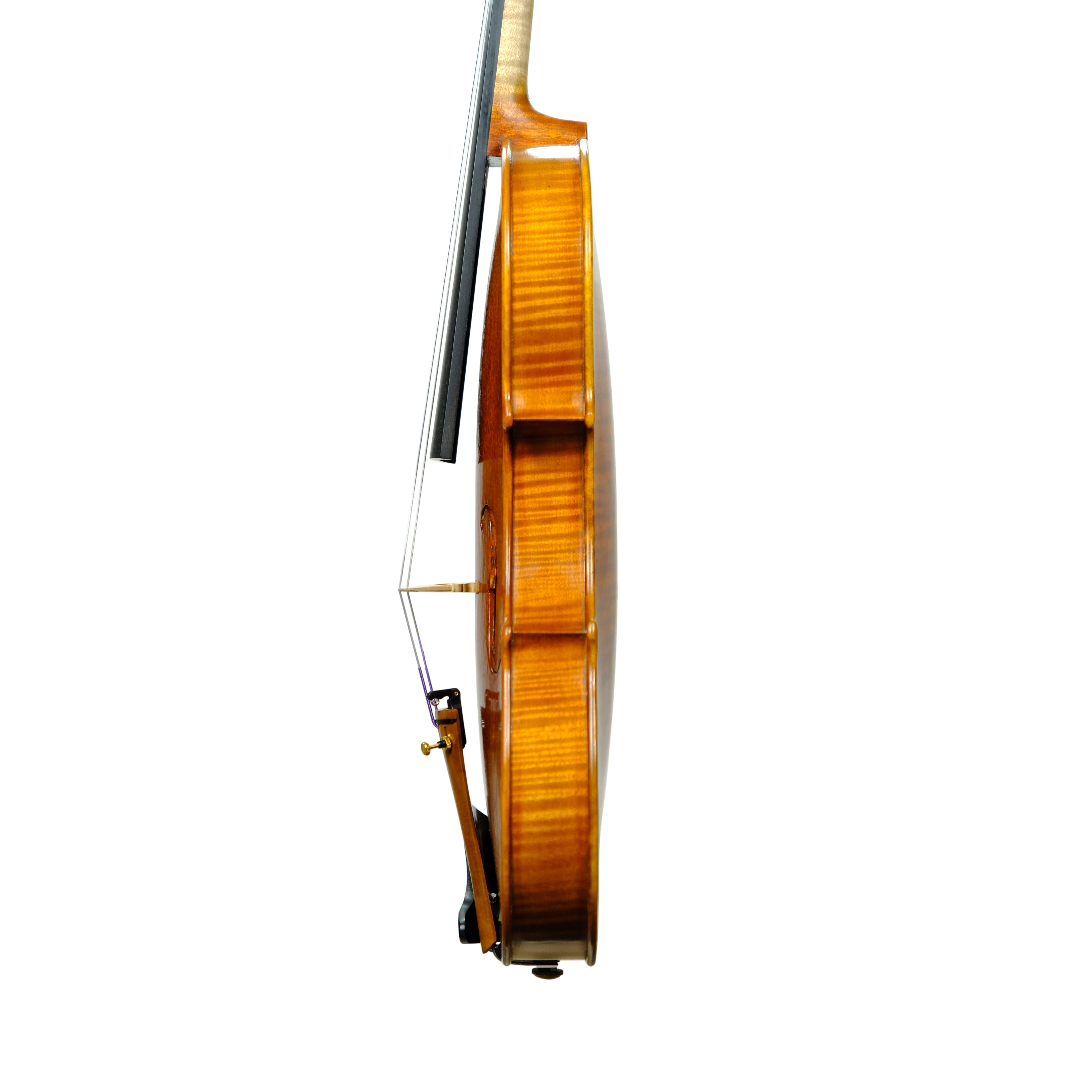 Violin - Enrico Bertoncini, Strad Cremona 2024