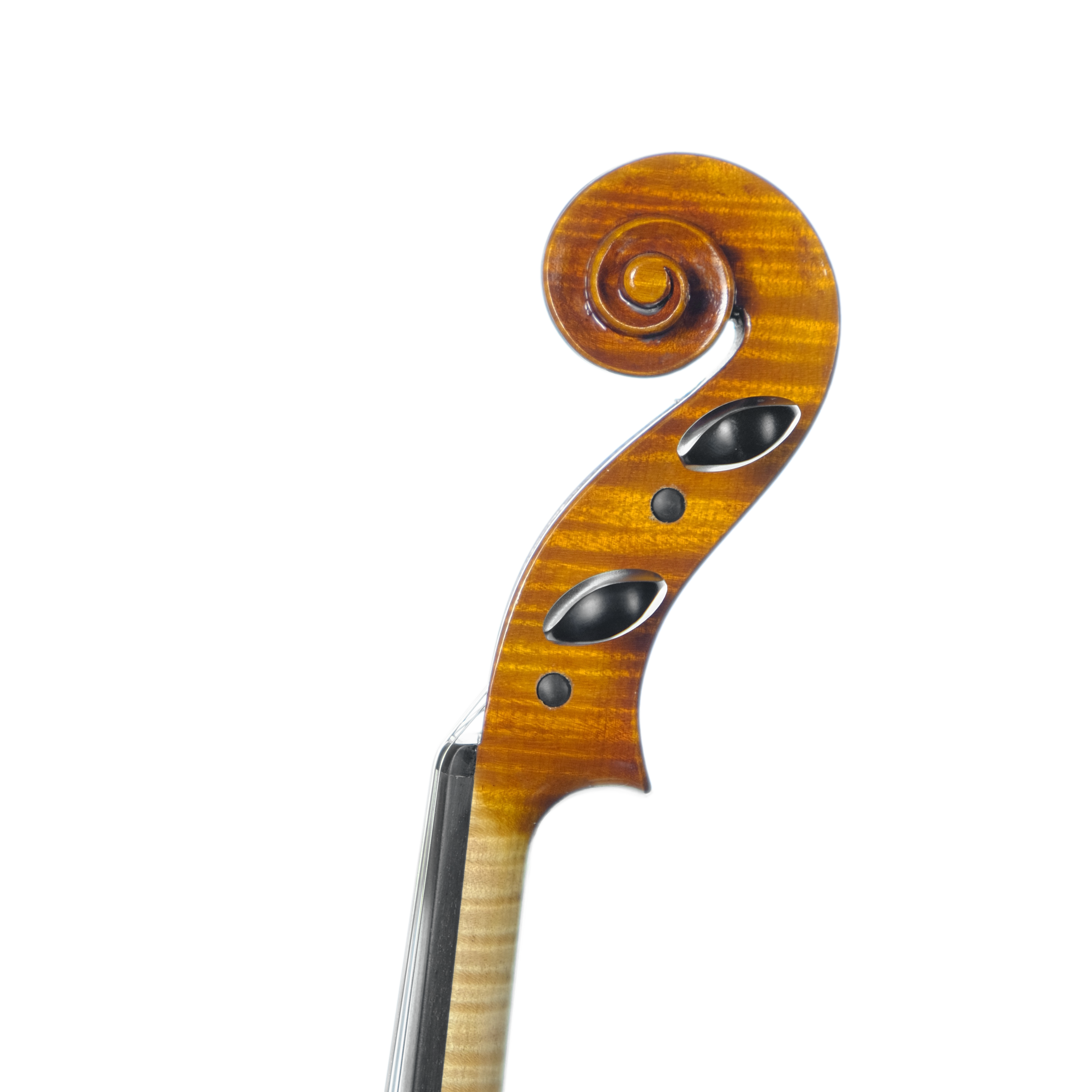 Viola Scala perfetta 40,5 