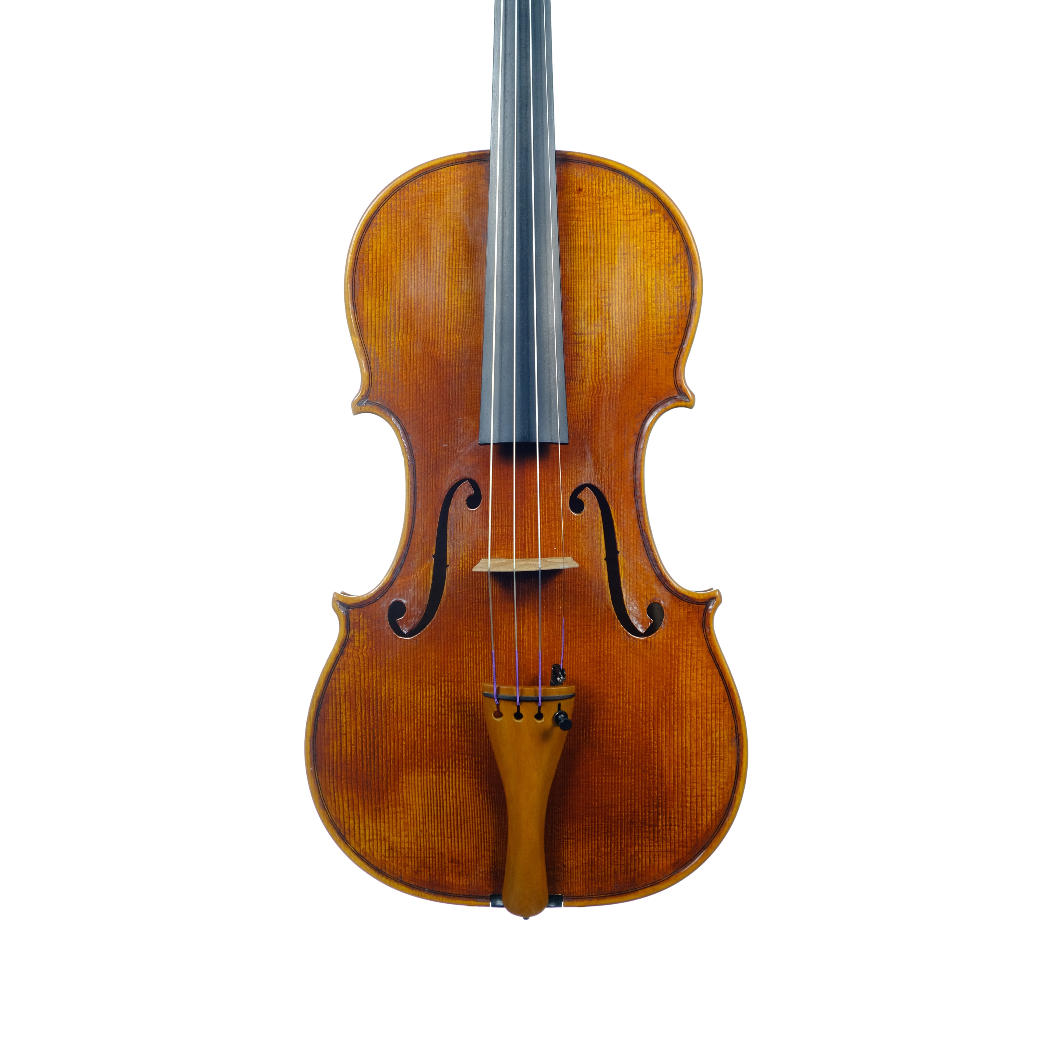 Violin - Linea Macchi, Guarneri "Lord Wilton" 2025