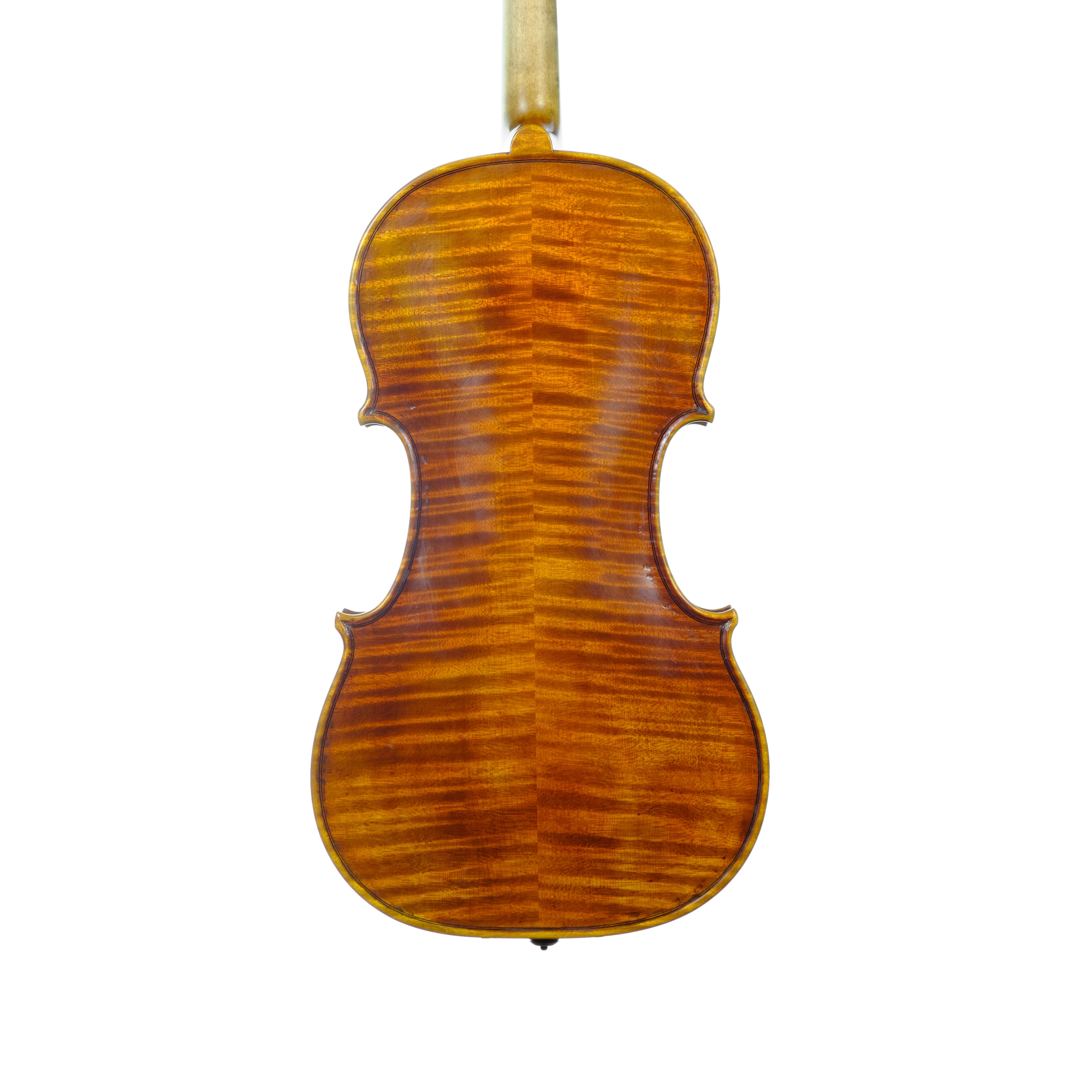 Violin - Linea Macchi, Guarneri "Lord Wilton" 2025